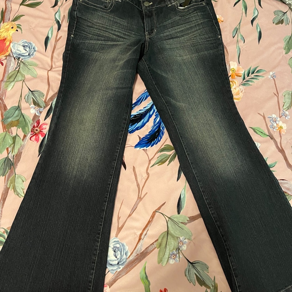 Lane Bryant | Lightly Flared Jeans